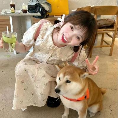 热带往事